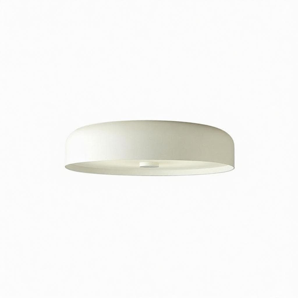 Discipio | Ceiling Mounted Light