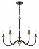 Cassidy | Luxe Chandelier