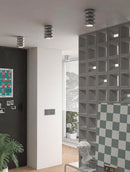 Veyronel B I Ceiling Mounted Light