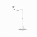 Elwynnora B | Pendant Light