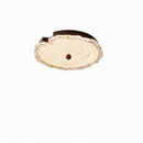 Drevetha | Ceiling Mounted Light