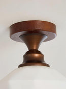 Raelindis I Semi Flush Mounted Light