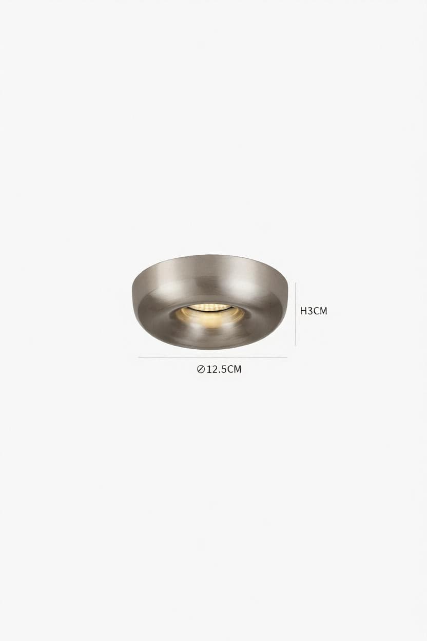 Darielth I Ceiling Mounted Light - Detail View #3 | HomeCartel