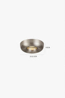 Darielth I Ceiling Mounted Light
