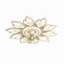 Lyndroa | Ceiling Mounted Light