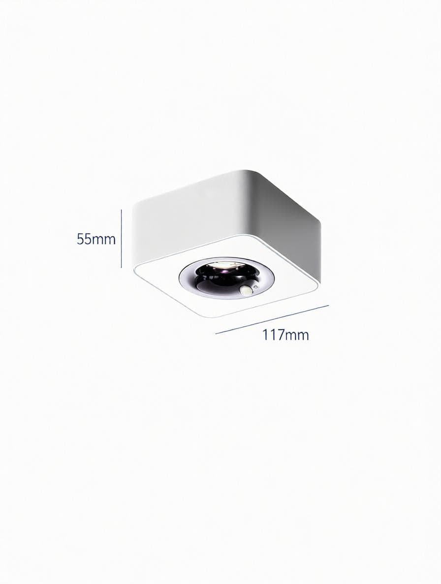 Torvalynor | Surface Mounted Light