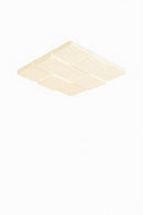 Dimittie B | Ceiling Mounted Light