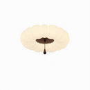 Melyssar | Ceiling Mounted Light