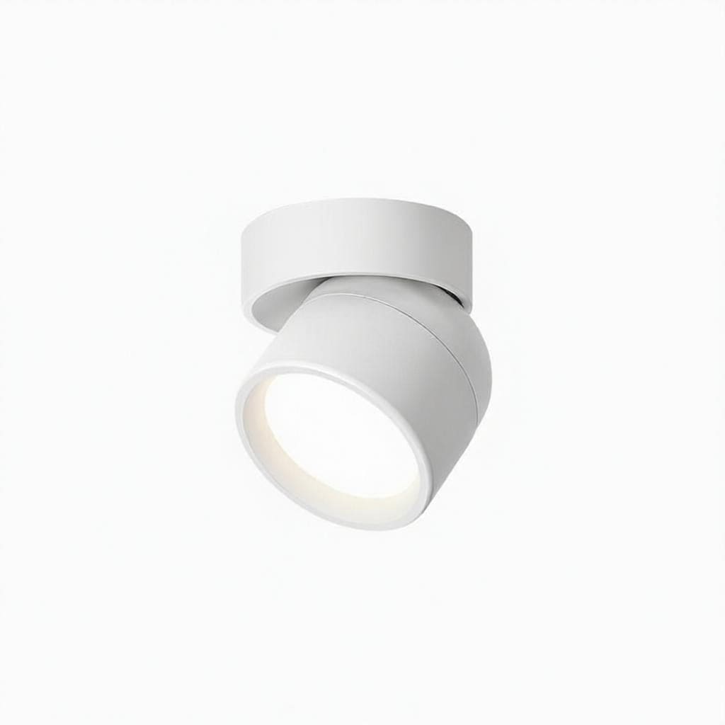 Jorvenithae | Surface Mounted Light