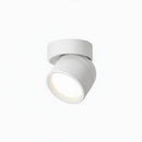 Jorvenithae | Surface Mounted Light