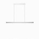 Gurian B | Linear Chandelier