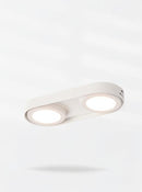 Aelaris | Surface Mounted Light