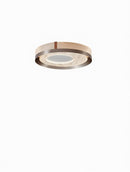 Lomthar | Ceiling Mounted Light