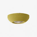 Corvein I Retro Ceiling Mounted Light