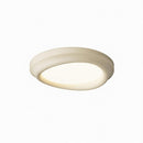 Caelmira | Ceiling Mounted Light