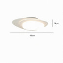 Brandin | Ceiling Mounted Light