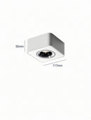 Torvalynor | Surface Mounted Light