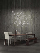 Selynthe I Cluster Chandelier