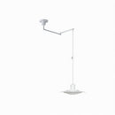 Elwynnora B | Pendant Light