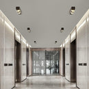 Lorwynesse | Surface Mounted Light