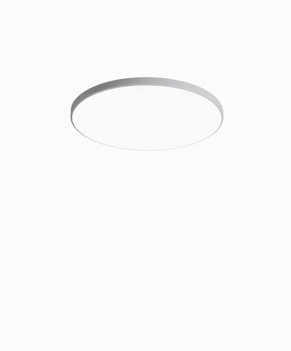 Falindryl | Ceiling Mounted Light - Modern Lighting Fixture | HomeCartel Philippines