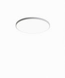 Falindryl | Ceiling Mounted Light
