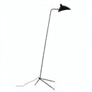 Zelmoro | Floor Lamp Swing Arm