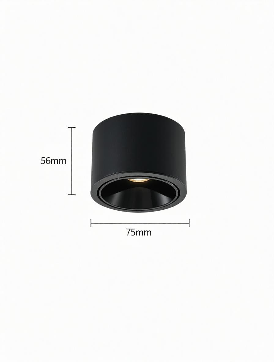 Jonvaleriae | Surface Mounted Light