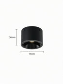 Jonvaleriae | Surface Mounted Light