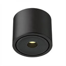 Ysolenyae Deux | Surface Mounted Light