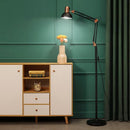 Borenzo | Floor Lamp Swing Arm