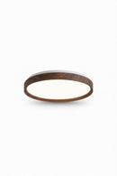 Torellia B | Ceiling Mounted Light