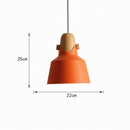 Rylowen | Pendant Light