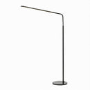 Naelenora | Floor Lamp