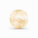 Mirenvee B | Floor Lamp