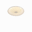 Ryrenthia | Ceiling Mounted Light