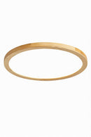Rozner Une | Ceiling Mounted Light
