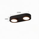 Aelindri | Surface Mounted Light