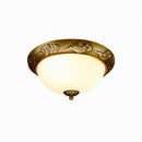 Sioraelis | Ceiling Mounted Light