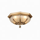 Syrenrae | Ceiling Mounted Light