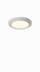 Gotter | Ceiling Mounted Light