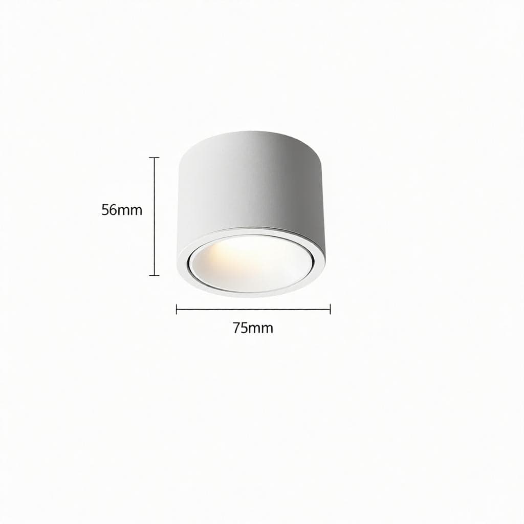 Jonvaleriae | Surface Mounted Light