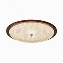 Orynella | Ceiling Mounted Light