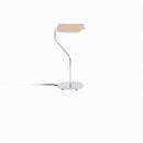 Teyrana I Table Lamp