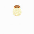 Elthysia I Semi Flush Mounted Light
