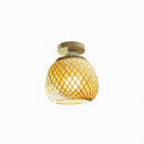 Lidren | Semi Flush Mounted Light