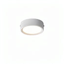 Lorvinthera | Surface Mounted Light