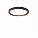 Blunden | Ceiling Mounted Light
