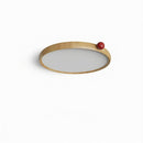 Mirivra | Ceiling Mounted Light