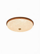 Daelina C | Ceiling Mounted Light